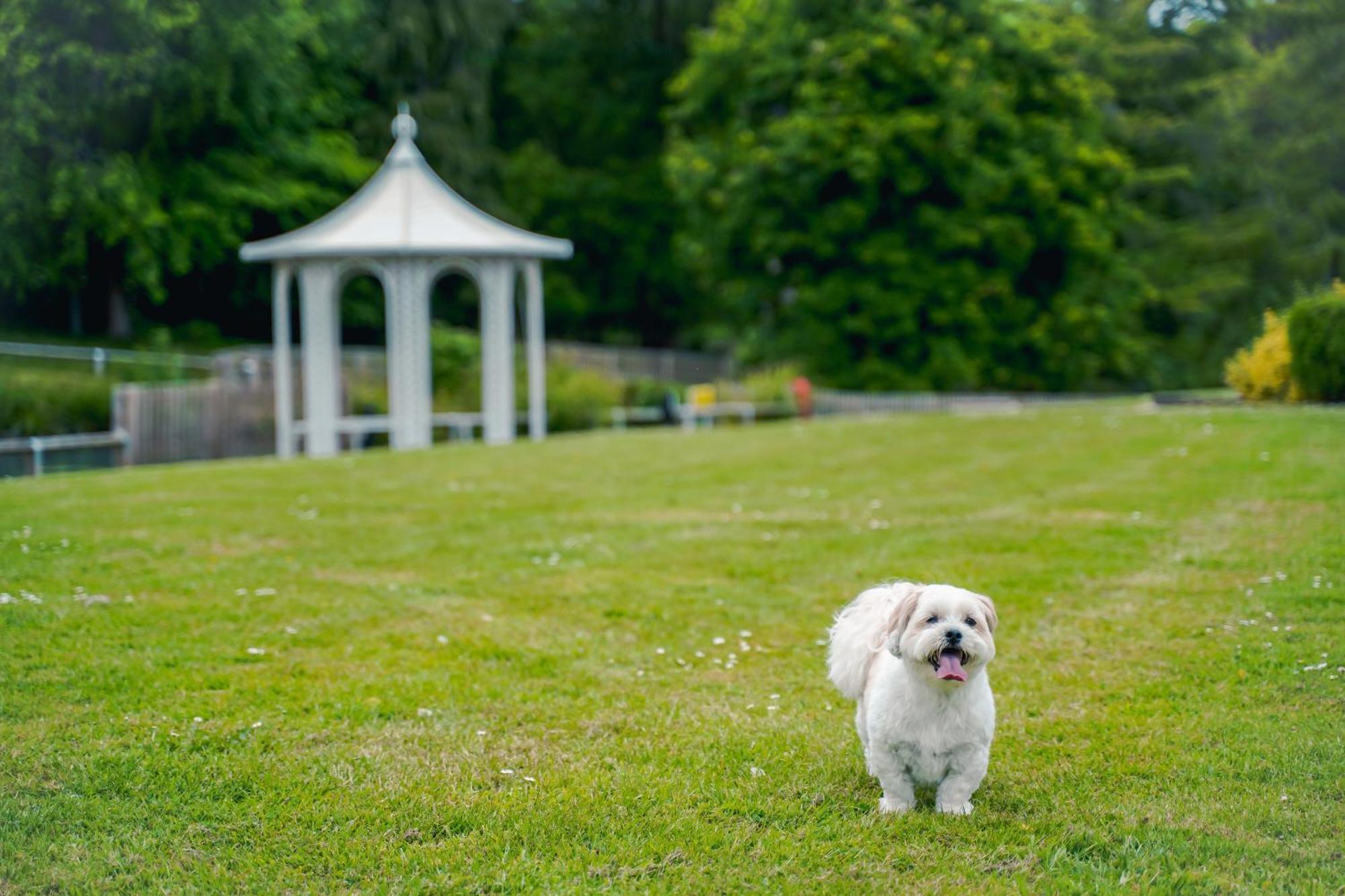 Doubletree By Hilton Cheltenham-Cotswolds Εξωτερικό φωτογραφία